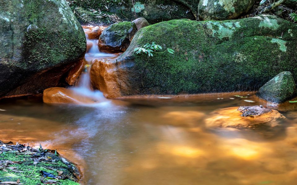 Billagunyah – Rainforest Retreat