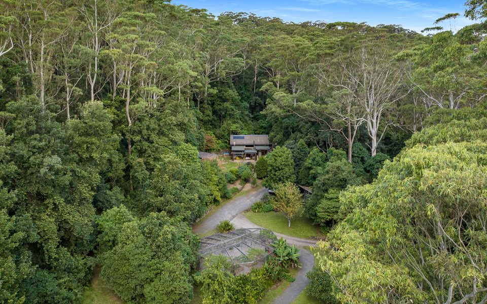 Lyra – Kangaroo Valley