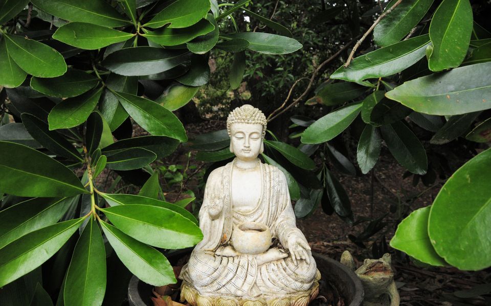 Orange Blossom – Retreat