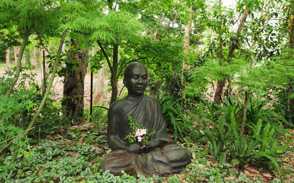 Orange Blossom – House