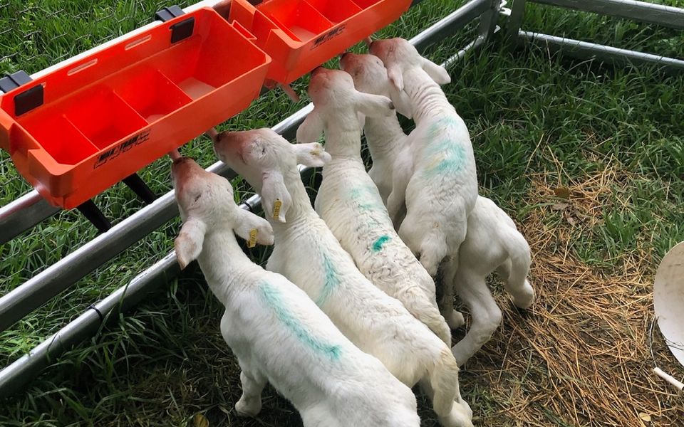 The Dairy – Sojourn Kangaroo Valley