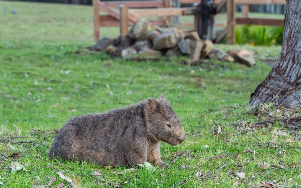 Jumulu Lodge – A unique luxury escape