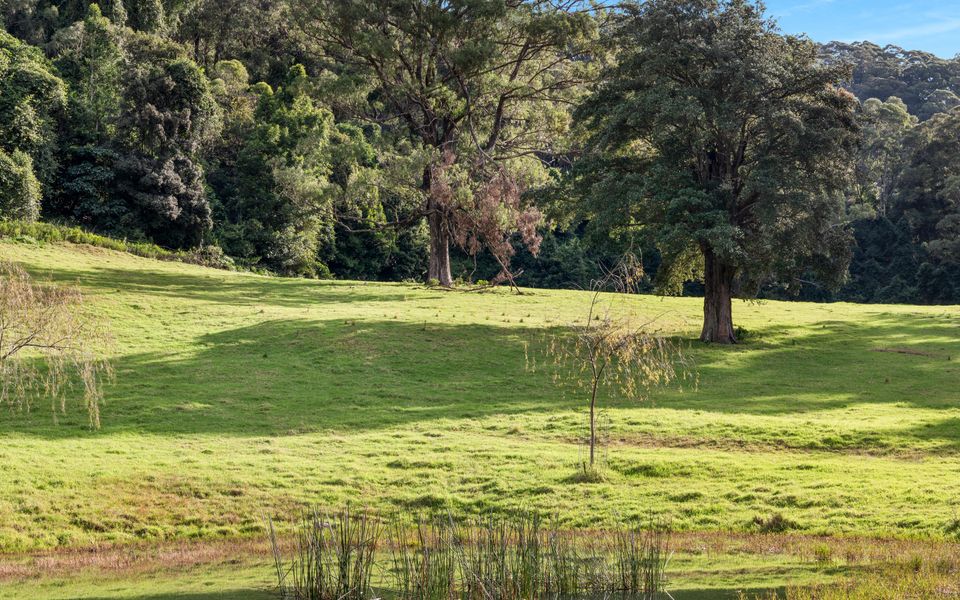 Alcheringa Cottage – Amazing Location with views!