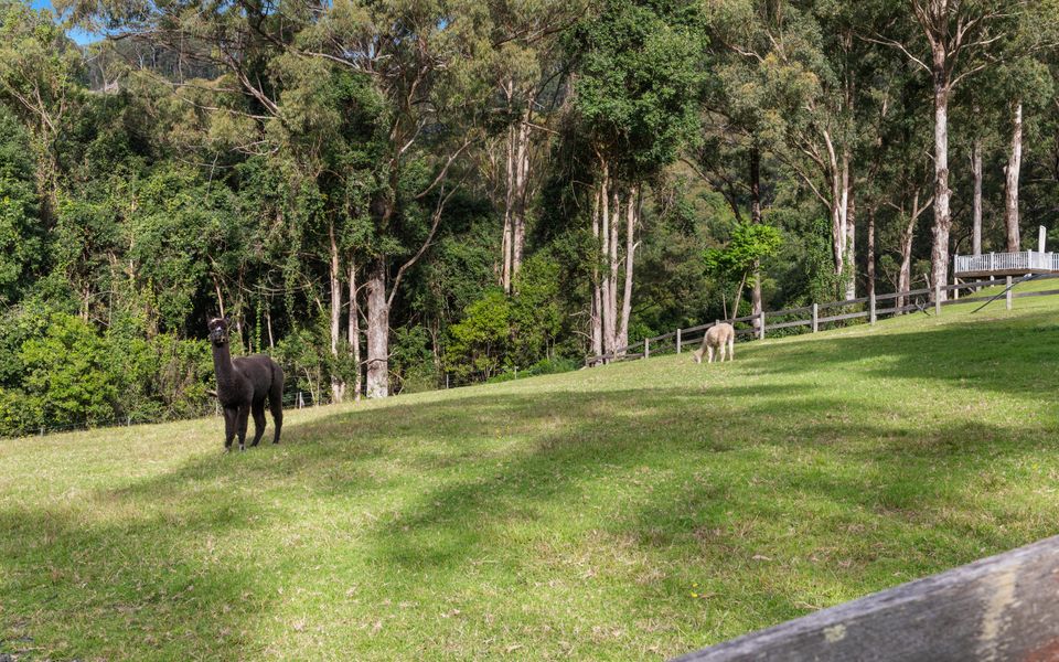 Alcheringa Cottage – Amazing Location with views!