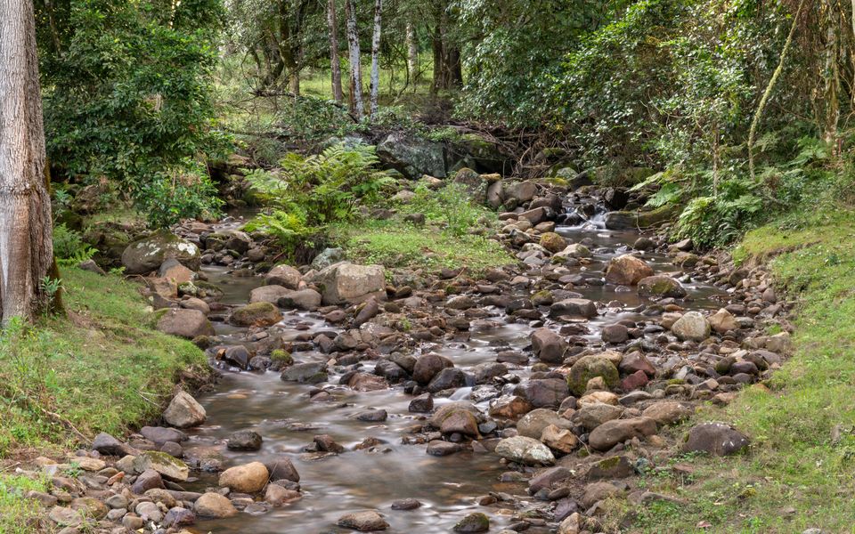 Alcheringa Cottage – Amazing Location with views!