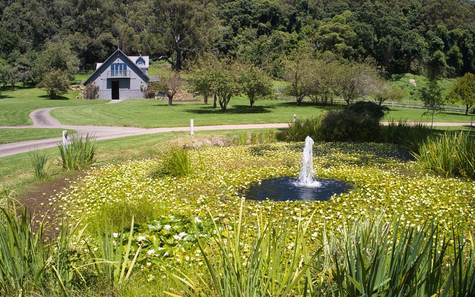 Alcheringa Cottage – Amazing Location with views!