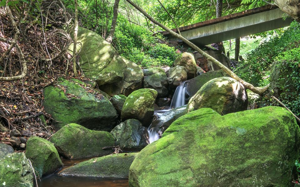 The Yurt @ Lothlorien