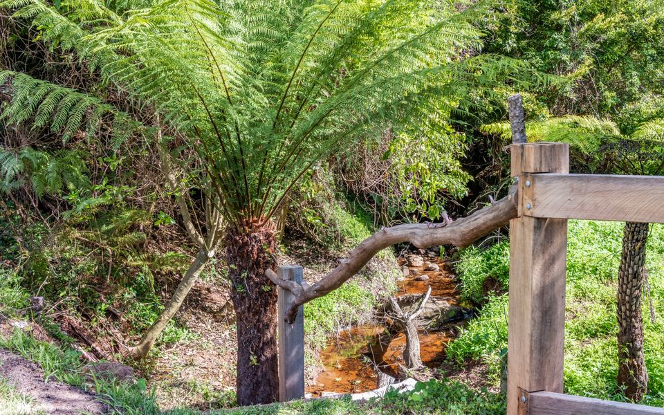 The Yurt @ Lothlorien
