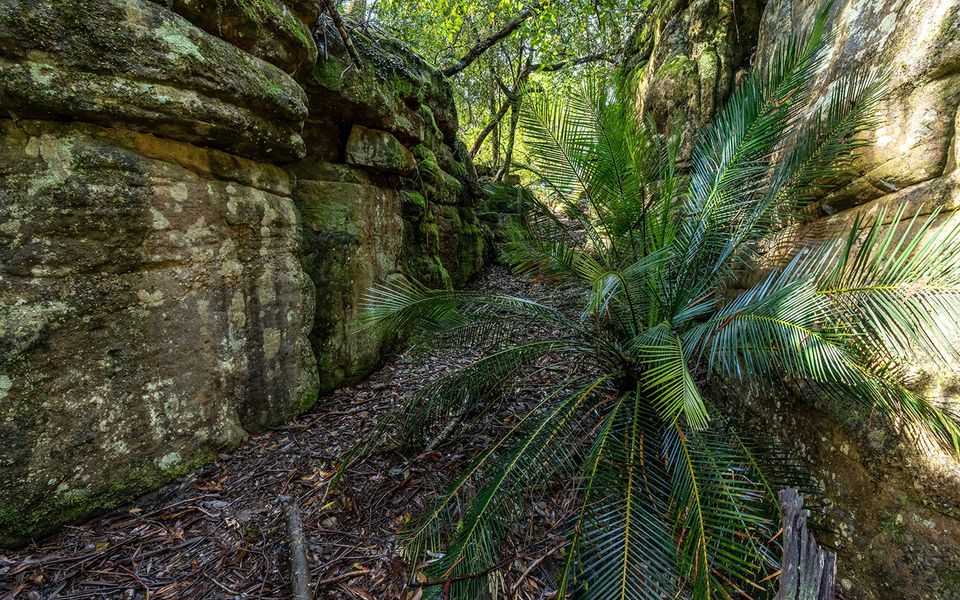 The Hollows – Kangaroo Valley
