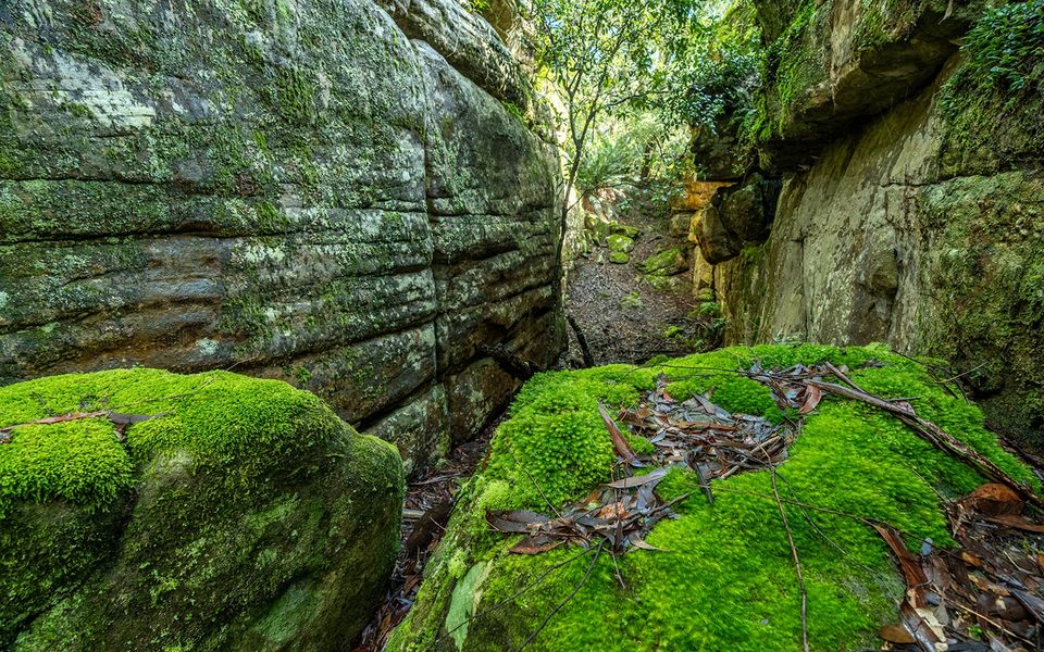 The Hollows – Kangaroo Valley