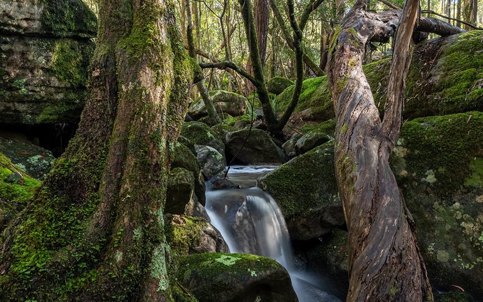 The Hollows – Kangaroo Valley