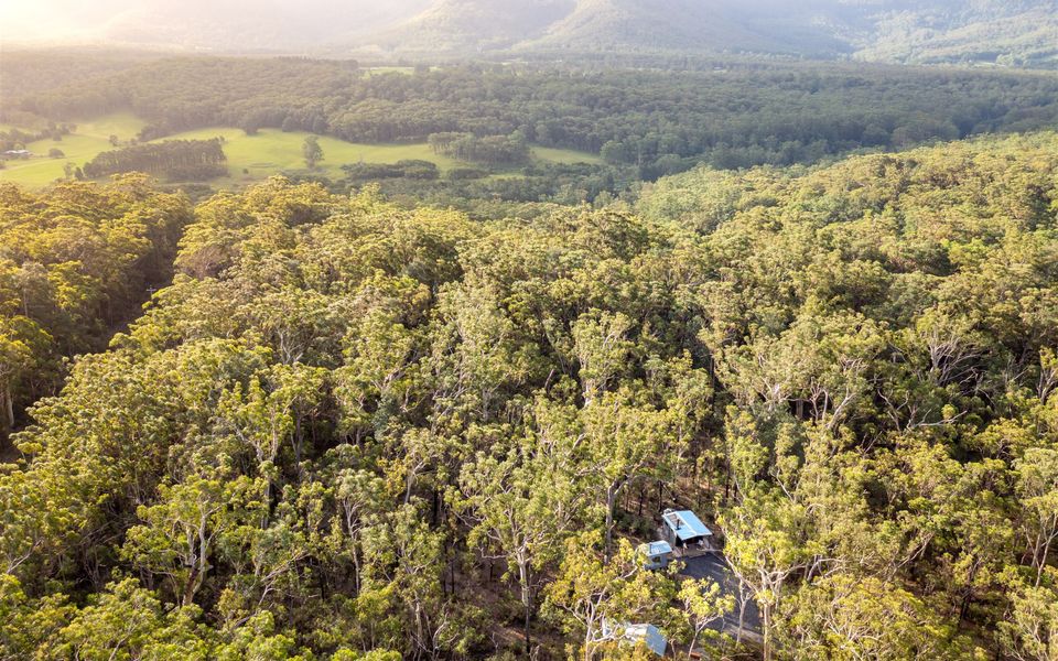 The Hollows – Kangaroo Valley