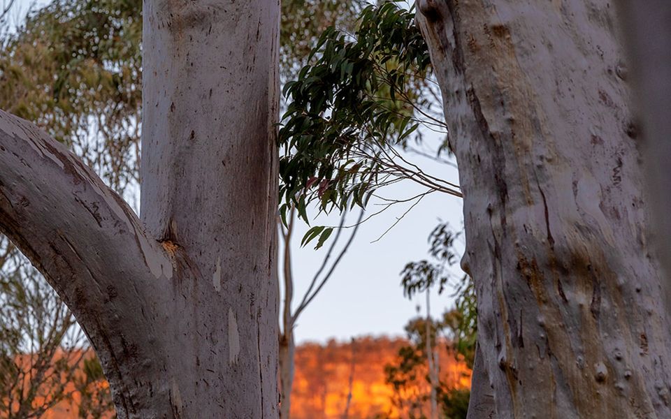 The Hollows – Kangaroo Valley