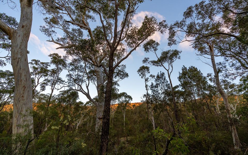 The Hollows – Kangaroo Valley