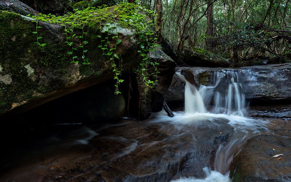 The Hollows – Kangaroo Valley