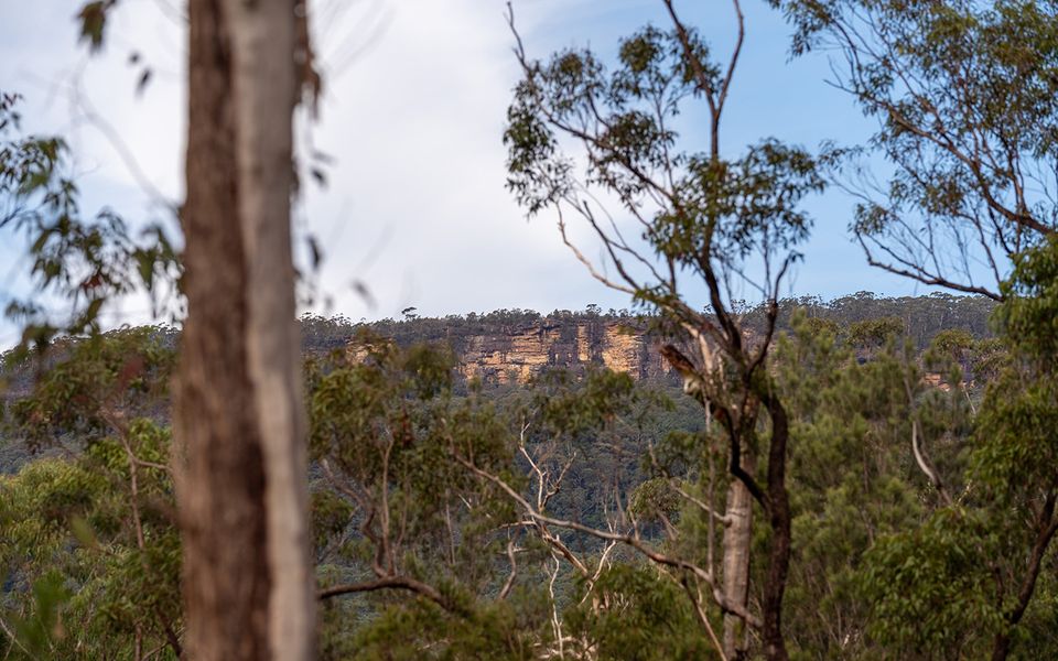 The Hollows – Kangaroo Valley