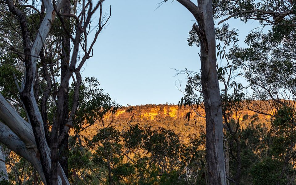 The Hollows – Kangaroo Valley