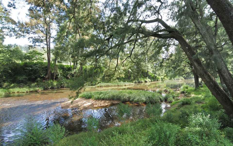 Rathkell’s Pavilion