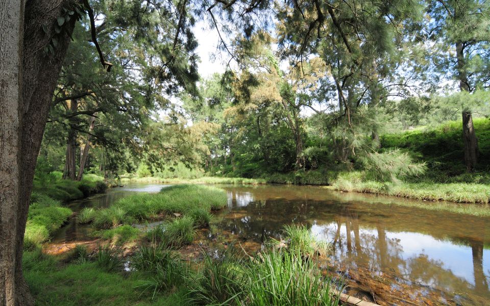 Rathkell’s Pavilion