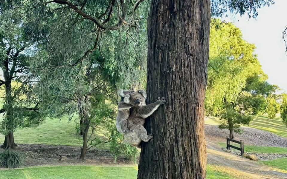 Benwerrin House – Stay 5 Nights PAY 4 – Jan 1-22