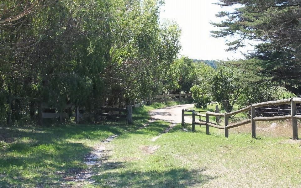 The long driveway in