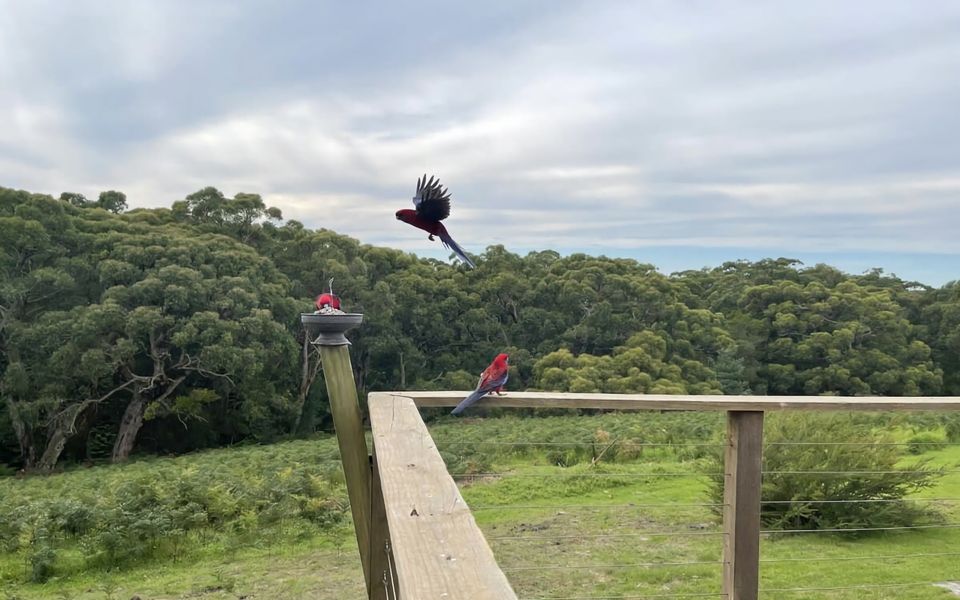 Illangi Beach Retreat