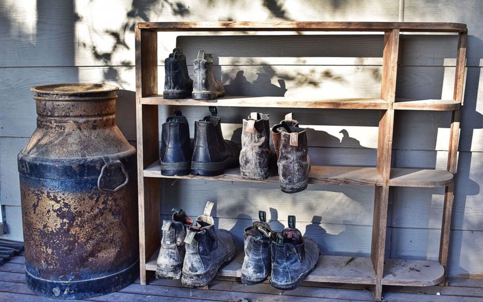 Mataluka at Fish Creek