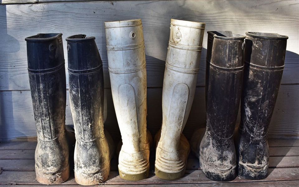 Mataluka at Fish Creek