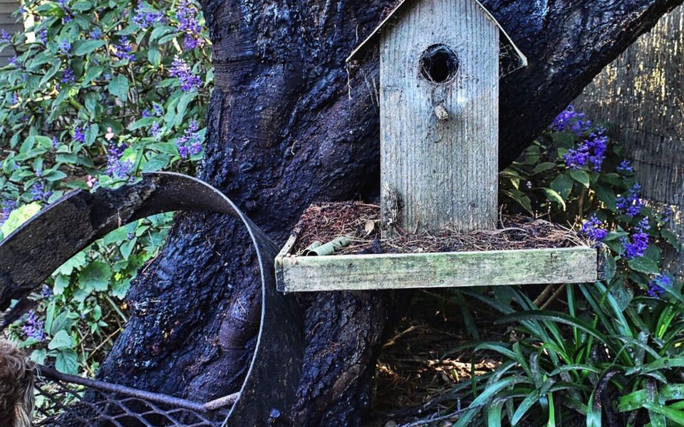 Mataluka at Fish Creek