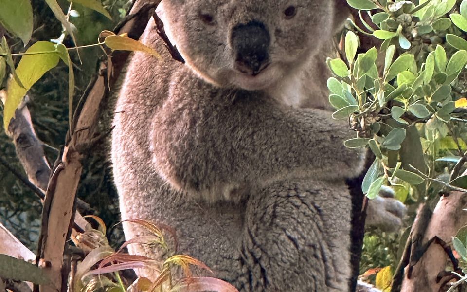 The Sands Sandy Point