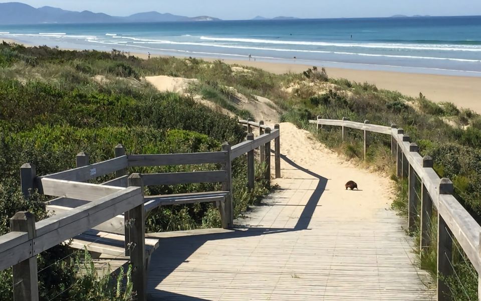 The Sands Sandy Point