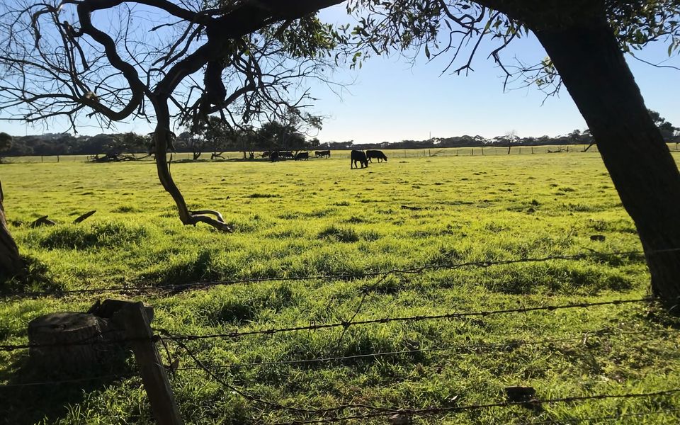 The Vibe Sandy Point