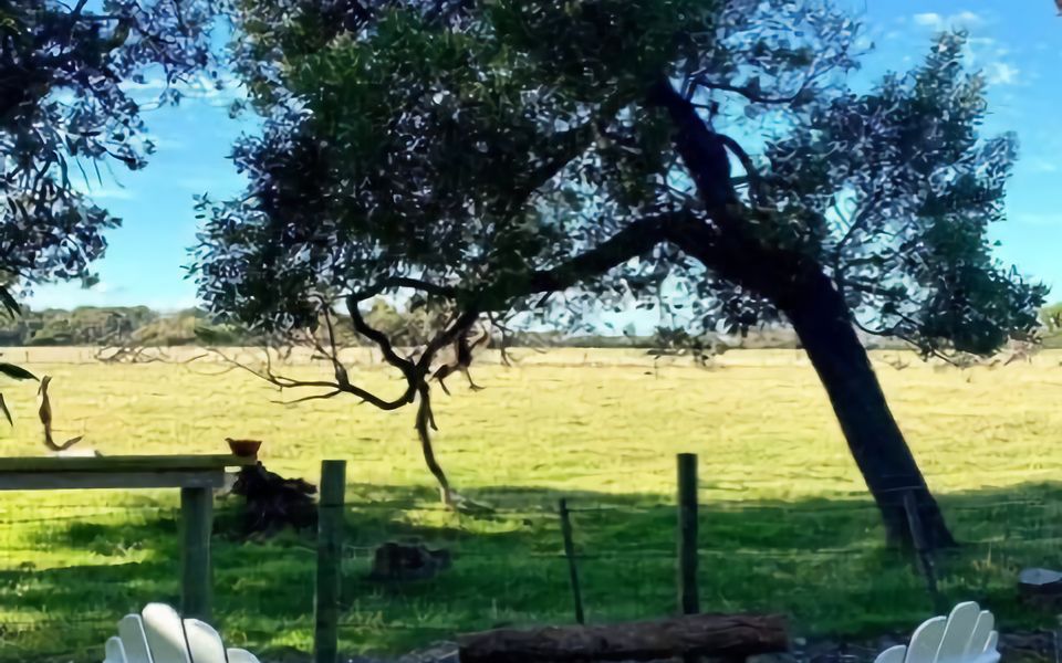 The Vibe Sandy Point