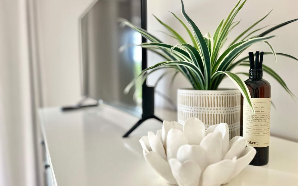 The Vibe Sandy Point