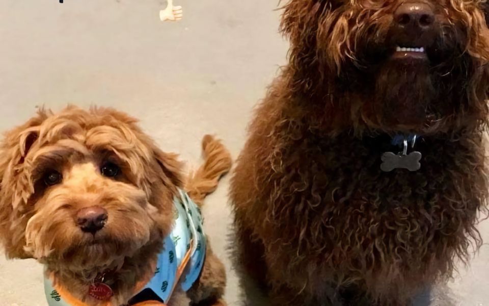 The Vibe Sandy Point