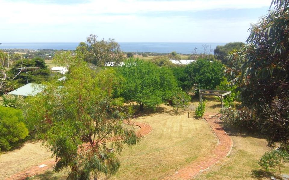 Tree Top – 4 Robert Norman Street