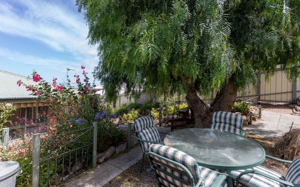 Dive into Dorset – 10 Dorset Court