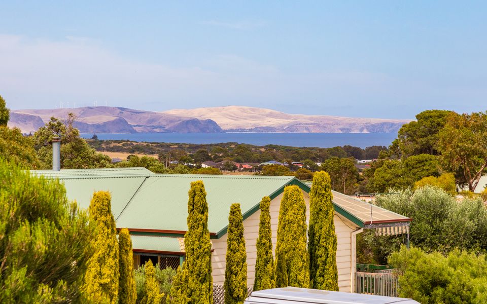 Dive into Dorset – 10 Dorset Court