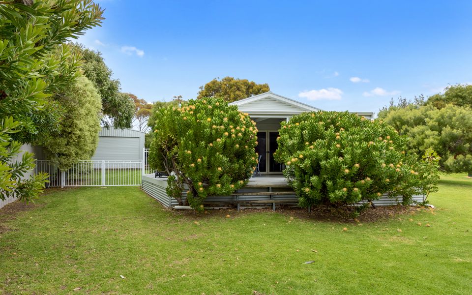 Decked Out @ Dolphin – 31 Dolphin Avenue