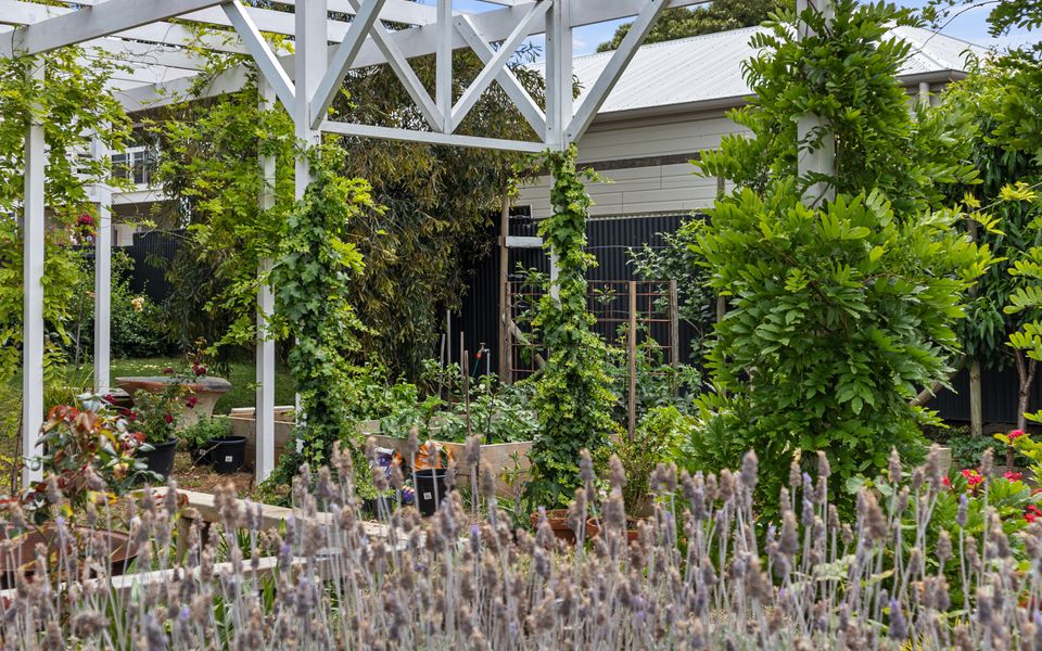 The White House – 6 Bennett Street