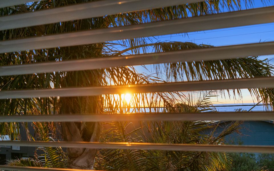 Palm House Carrickalinga