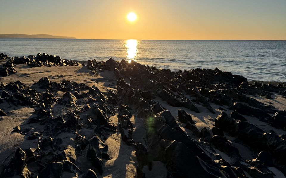 The Coastal Oak – 1 Sunset Drive
