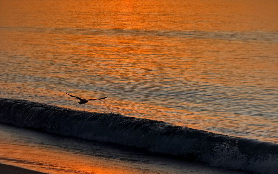 The Coastal Oak – 1 Sunset Drive