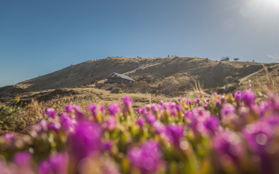 Cliffs End Beach Shack – 105 Gold Coast Drive