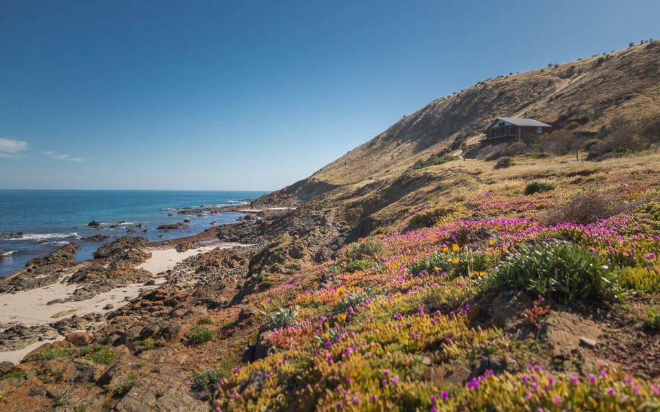 Cliffs End Beach Shack – 105 Gold Coast Drive