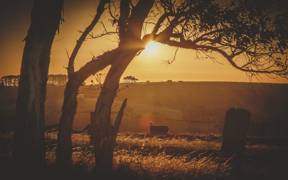 Fleurieu Coastal Retreat – Lot 150 Myponga Beach Road