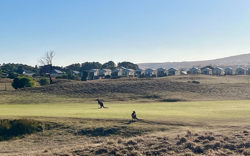 Putters Paradise – 25/30 Troon Drive