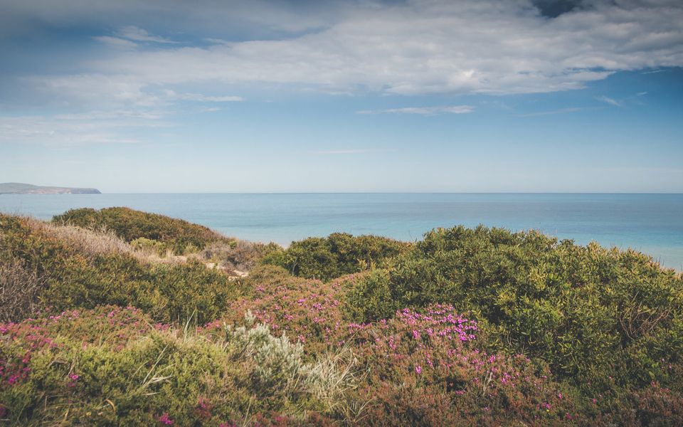 Sand Castles – 34 Gold Coast Drive