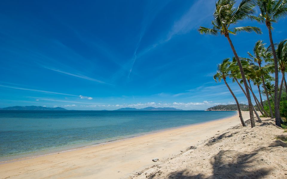 Pure Magnetic Villa 5