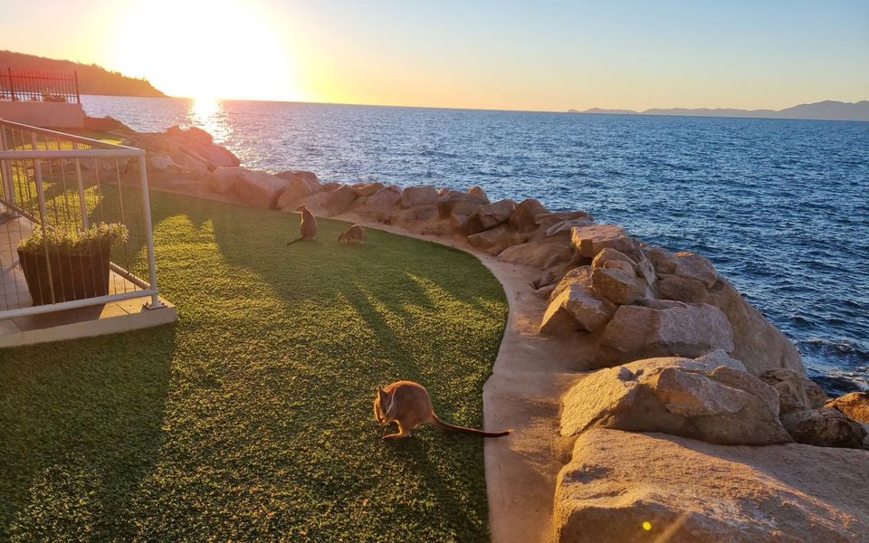 1 Bright Point Apartment 4104